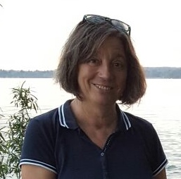 Afghanischer Windhund