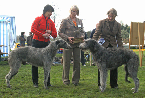 JJS Fortheringhay's Broken JJS und BOB Fritzens un Burlamacco   