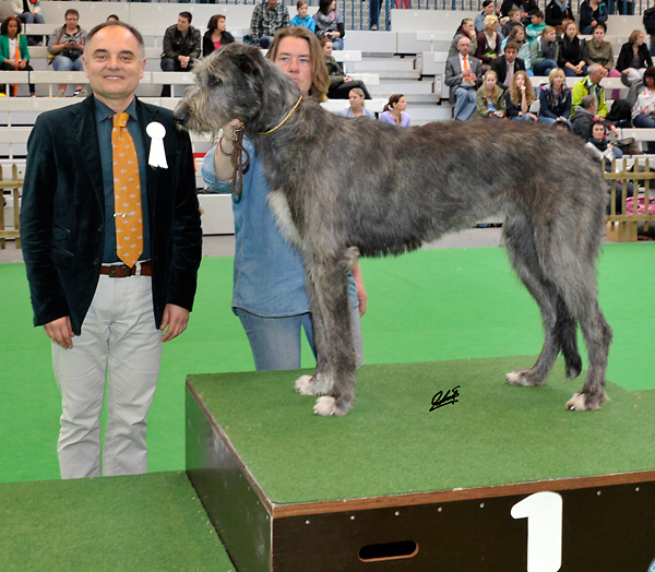 CACIB Lingen 2014