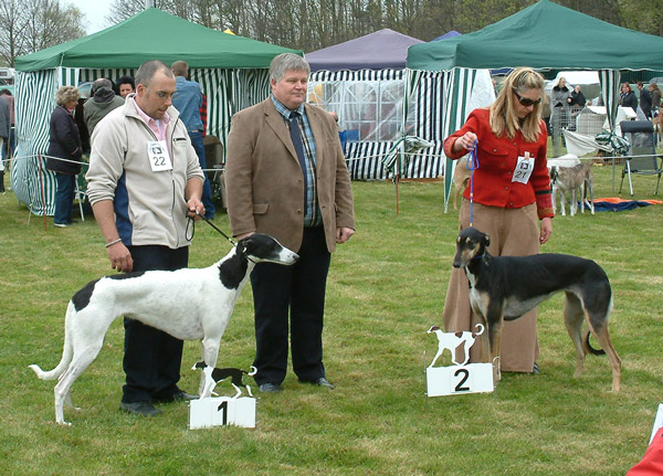 CAC:    Zanga-Zaba Niwika Sibin                   /                  Reserve-CAC:  Braija Aziza men Tara