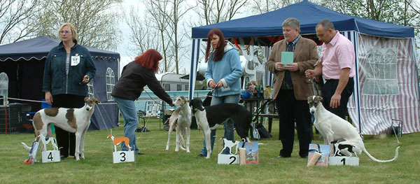 Allegra Niwika Sibin          /           Aaminah Niwika-Sibin             /  Alanya-Zuli Niwika Sibin              /           Alexa-Zaba Niwika Sibin