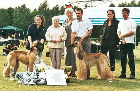 die Jahressieger 2001 DSCHABALPUR VON KATWIGA        und        A DREAM COMES TRUE WORTH TO WAIT