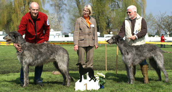  Atchafalaya Fitz Callan / Greyflax Francis Drak