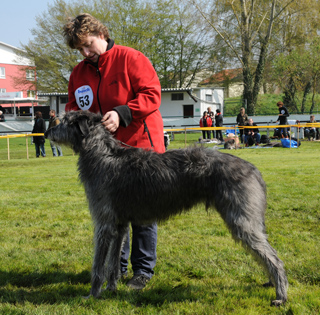 Sg1 Brian of Albainn