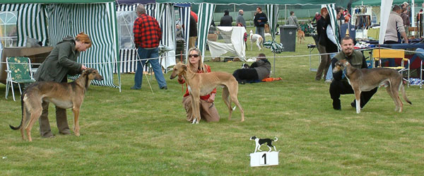 Stechen um Jahressieger 2007