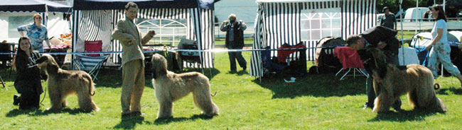 stechen um Jahressieger 2008