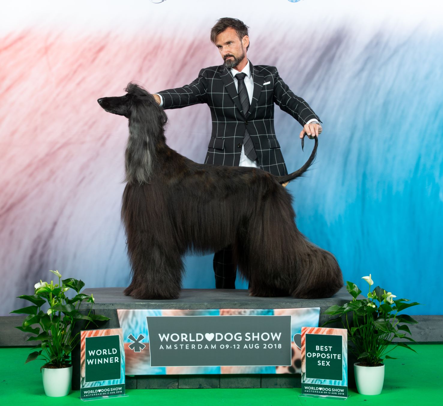 Aktuelles aus dem DWZRV