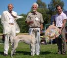 Ch. Hashim Schuru-esch-Schams, Bes. I. u. E. Schritt   mit den Richtern Herren H. Zuber/CH und R. Posa/CH