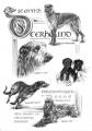 Deerhound Poster