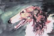 1995 - Barsoi-Rüde 