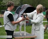 Koseilata's Jimi Hendrix 