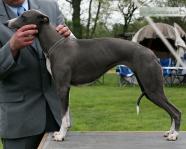 Time for breaking the Spell