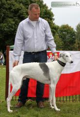 Antares Syn Dobek Niwika Sibin