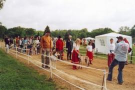 Magyar Agar Jahresausstellung 2004