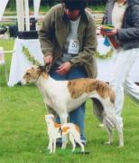 Aranagy Utanallo Cicababa