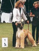 POPOVS PRIVATE COLLECTION