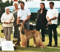 A DREAM COMES TRUE WORTH TO WAIT