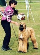 NATYAMA RAMBULI FATINAT AL SJARK