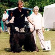 SERRA PARECIS DEMON HEADMASTER