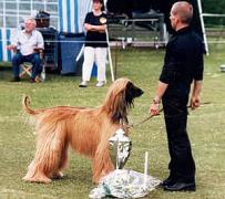 ISHMIR EL CHAKCHARAN