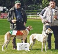 Puszta König's Bludin