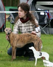 Darlyn vom Kleinen Berg