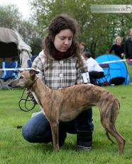 Darlyn vom Kleinen Berg