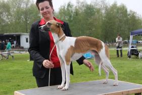 Ronan vom Kleinen Berg