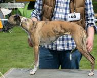 Sylvianne's Centenne