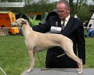 Islamagica Di Mahana