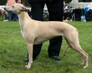 Islamagica Di Mahana