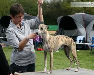 Culture Pearl's Fantasy