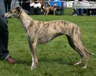 Culture Pearl's Fantasy