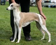 Xanadou vom Kleinen Berg