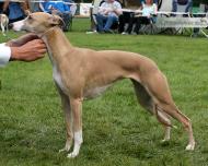 Yeunesse vom Kleinen Berg