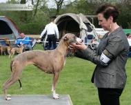 Shiny Sensation's First Sensation 