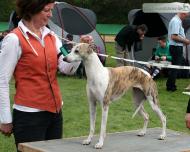 Koseilata's Yodas Sister