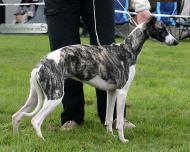 Kristina Alexandra of Gentle Mind