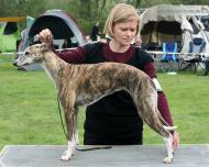 Urban Sea vom rauhen Meer