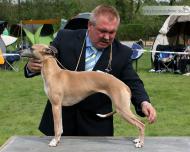 Creme Anglaise's J'aime La Vie 