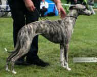 Light my Fire High on Emotion