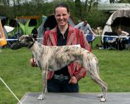 Belle Amie semper-crescendo