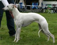 Eurostar's Neo Tropical Paradise