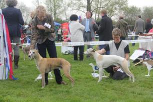 Gone with the Wind High on Emotion & Koseilata's Three Times a Lady