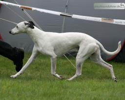 Koseilata's Take me to the Moon 