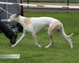 Koseilata's Three Times a Lady