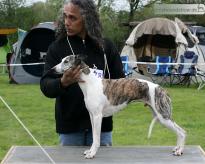 Koseilata's Warwick Dionne