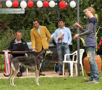 Chione Aziza men Tarah