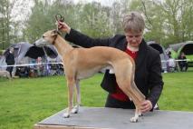 Koseilata's Dark Side of the Moon