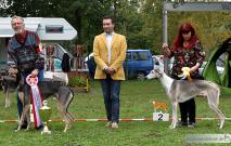 Best of Breed Charis Aziza men Tara & BOS Aamirah Niwika Sibin